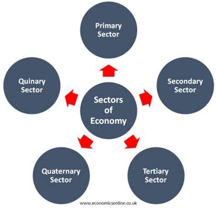What are the four sectors of the economy quizlet?