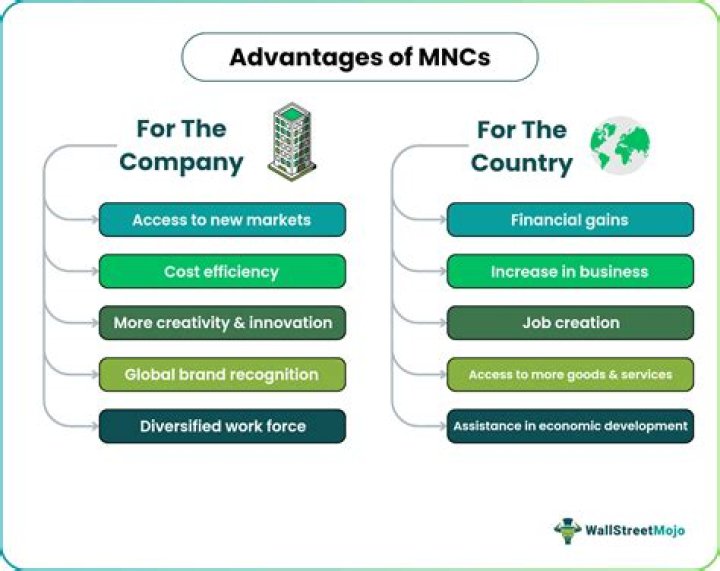 What are the harmful effects of MNCs to a host country give three examples?