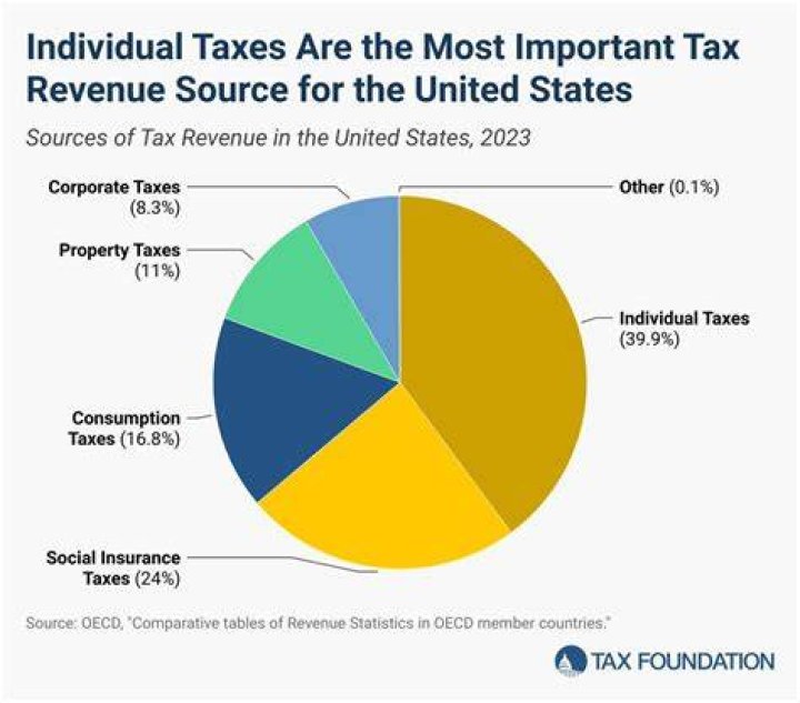 What are the major sources of government revenue?