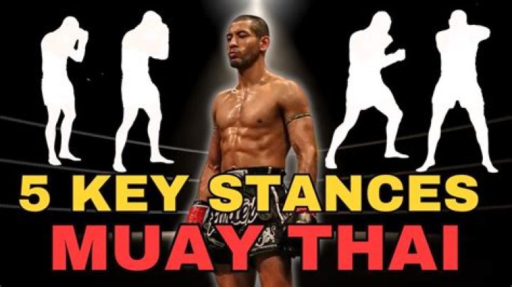 What are the Muay Thai styles?