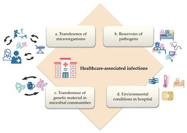 What are the organisms responsible for nosocomial pneumonia?