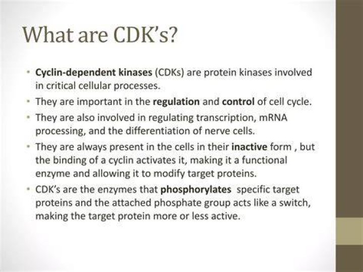 What are the role of CDK enzymes?