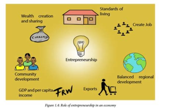What are the roles of entrepreneurship in Tanzania?