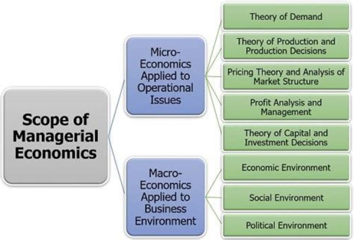What are the scope of managerial economics?