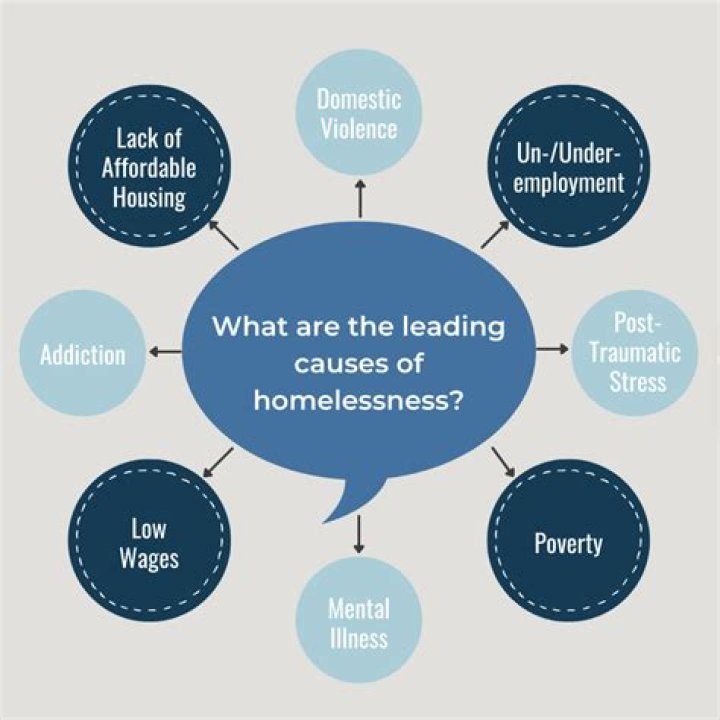 What are the social causes of homelessness?