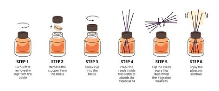 What are the sticks in a diffuser called?