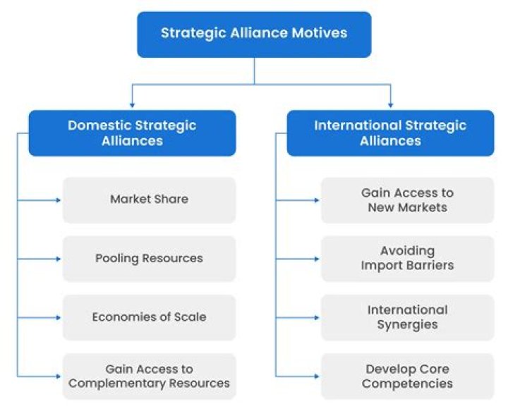 What are the three types of strategic alliances?