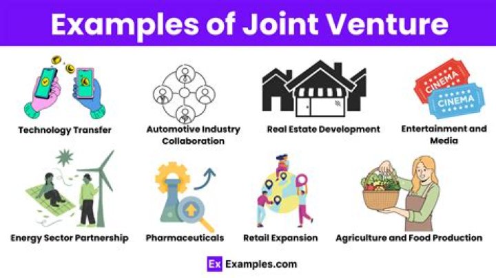 What are the types of joint ventures?