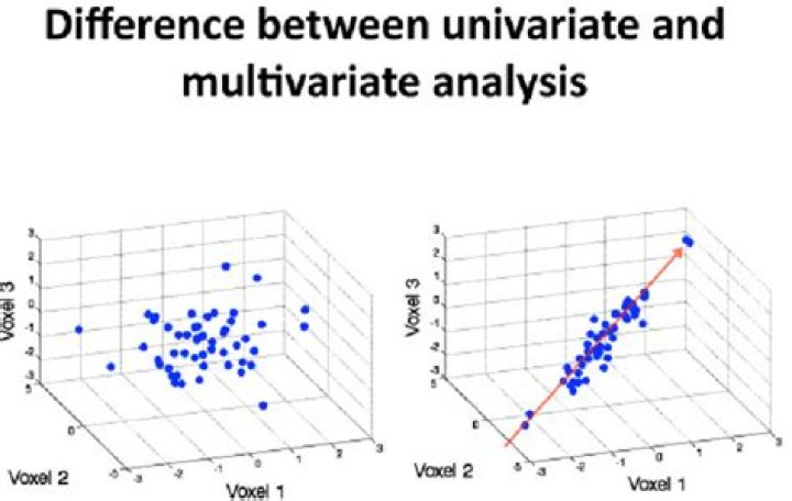 What are univariate bivariate and multivariate data?