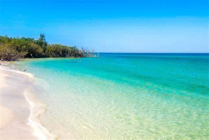 What beaches on the East Coast have the clearest water?