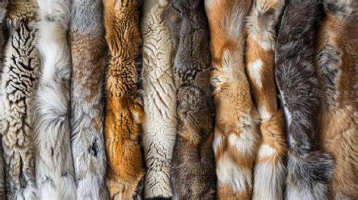 What Can fur be used for?