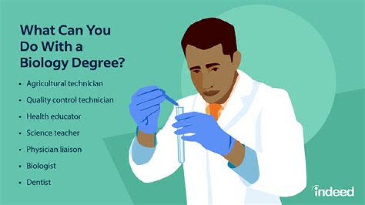What can I do with a degree in international education?