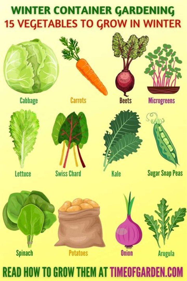 What can you grow in Georgia in the winter?