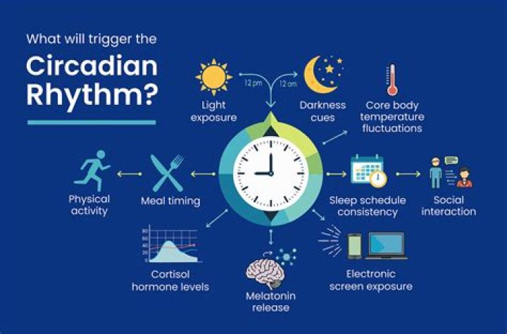 What causes circadian rhythm sleep disorders?