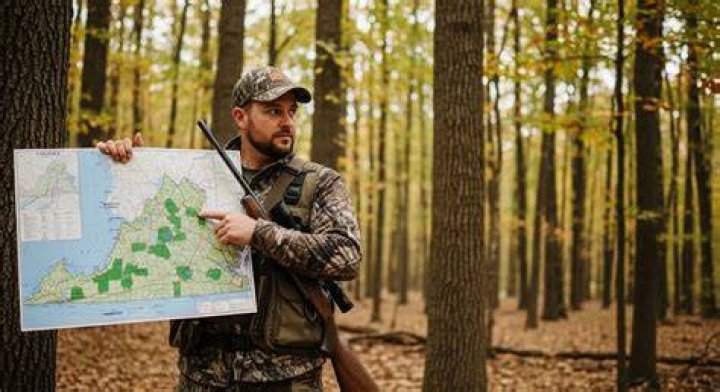 What counties in Virginia allow rifle hunting?