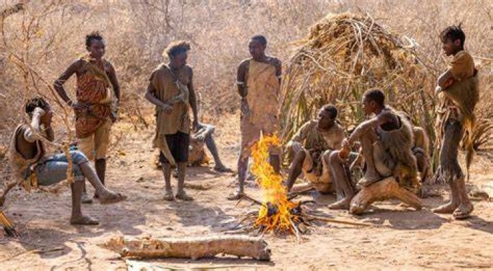 What did Bushmen hunt with?