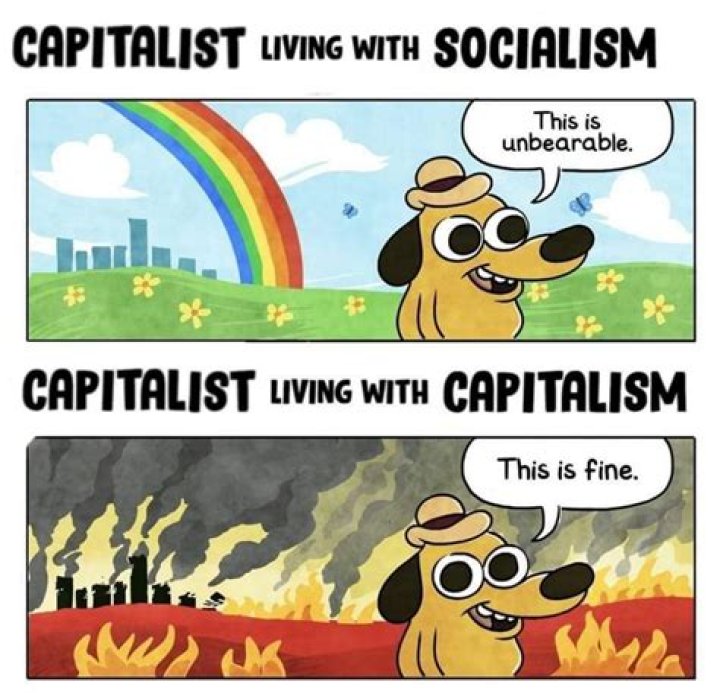 What do anti capitalists want?