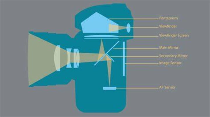 What does a focusing screen do?