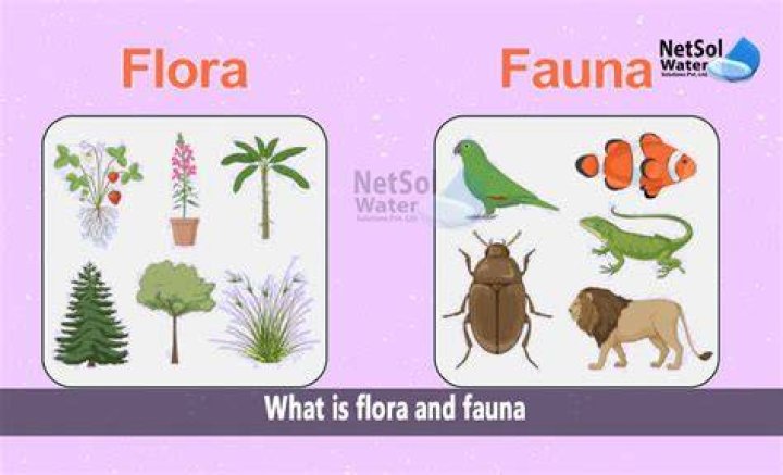 What does Alam Flora do?