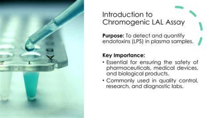 What does chromogenic LAL assay measure?