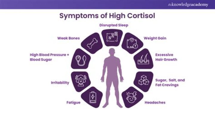 What does high cortisol mean in dogs?