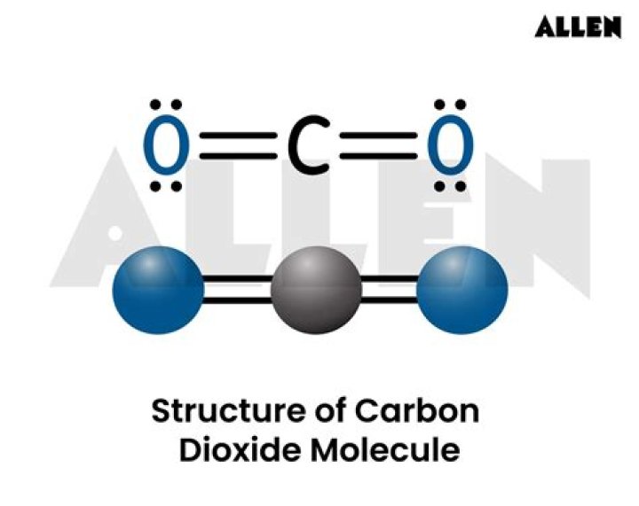 What does low carbon dioxide indicate?