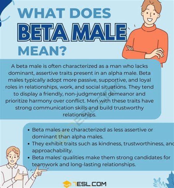 What does male suffrage mean?