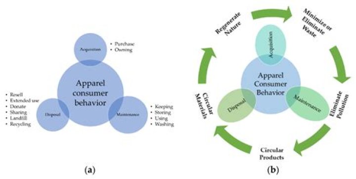What does not need to be addressed when organizing an economy?