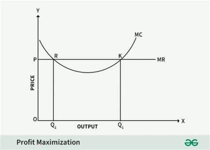 What does profit mean in economics?