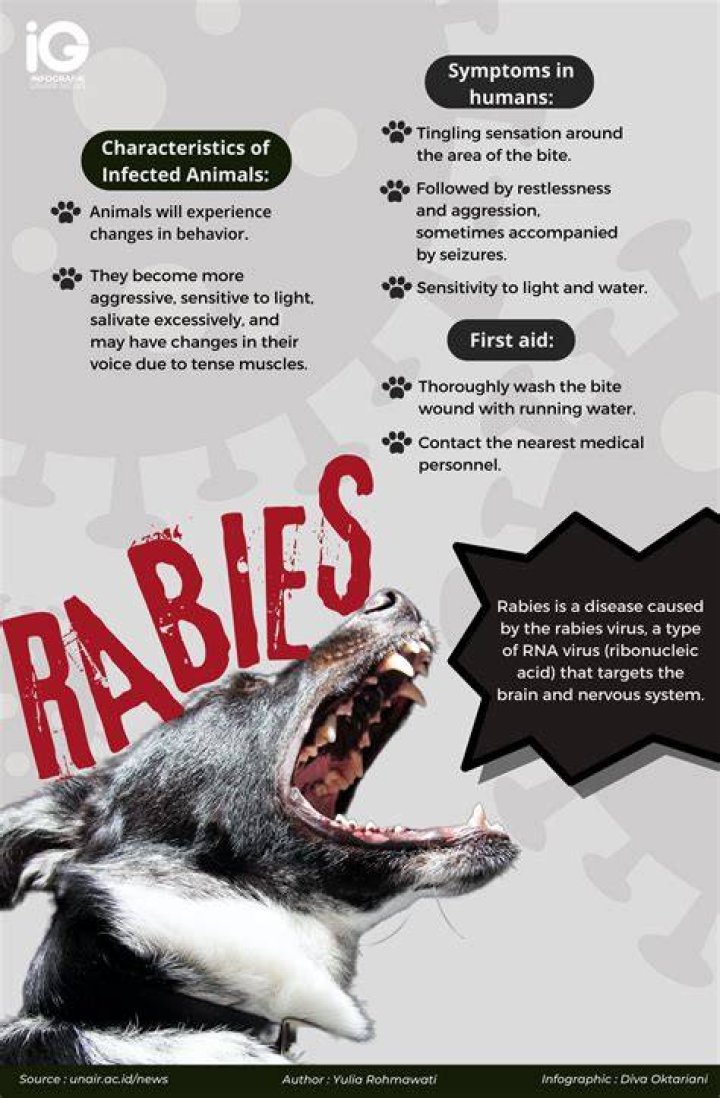 What does rabies feel like in humans?