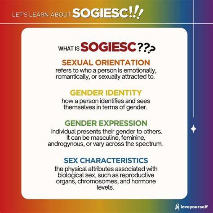 What does Sogiesc mean?