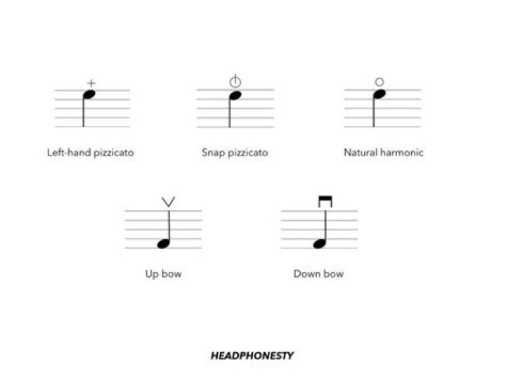 What does the music note mean on Spotify?