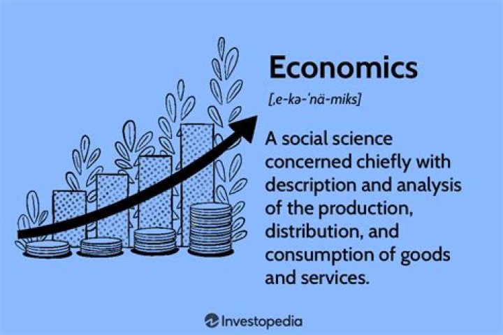 What does the study of economics examine?
