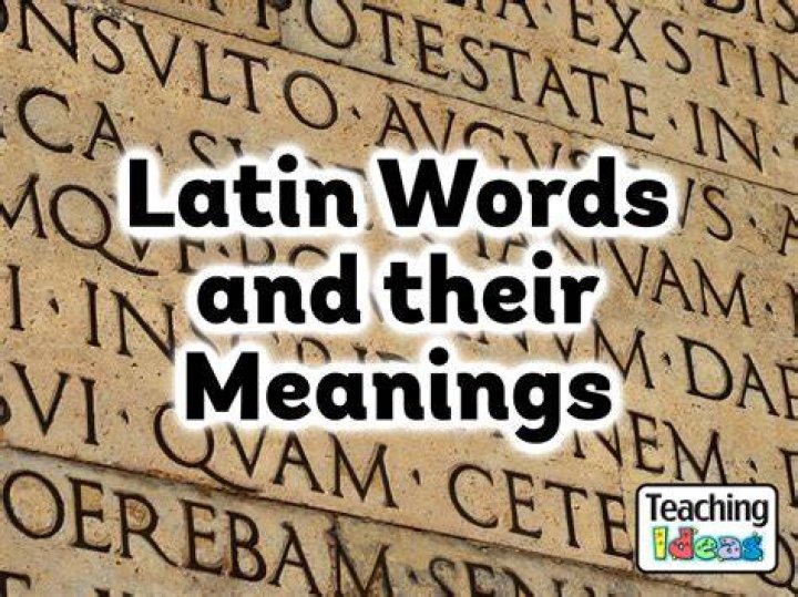 What does the term Pig Latin mean?