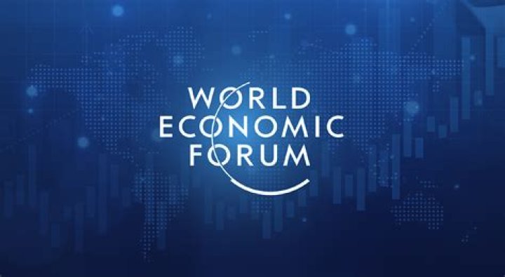 What does World Economic Forum do?