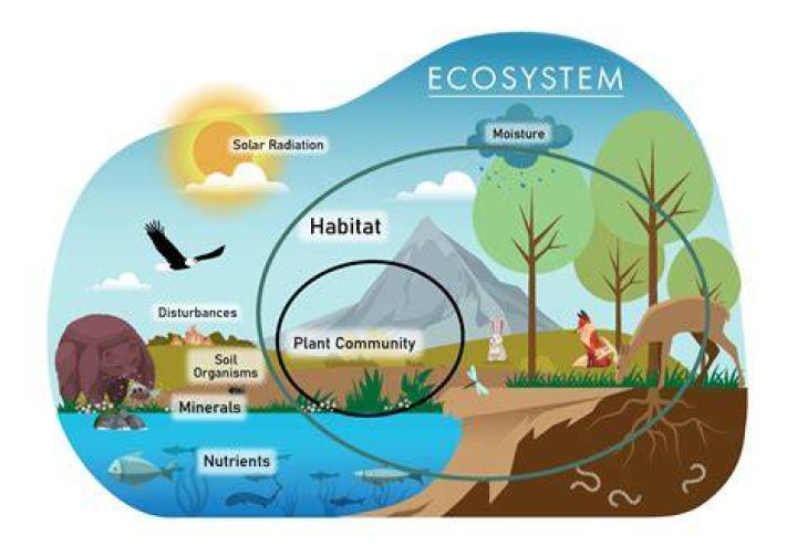 What economic importance do humans get from the ecosystem?