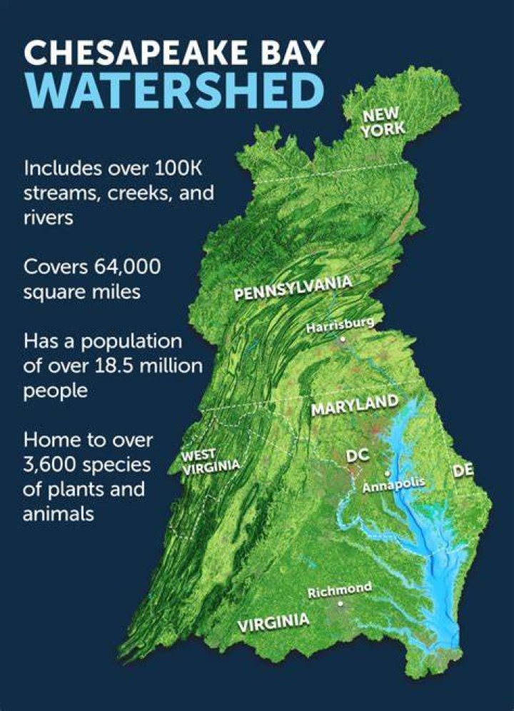 What economic system formed the Chesapeake Bay?