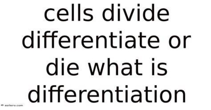 What exactly is differentiation?