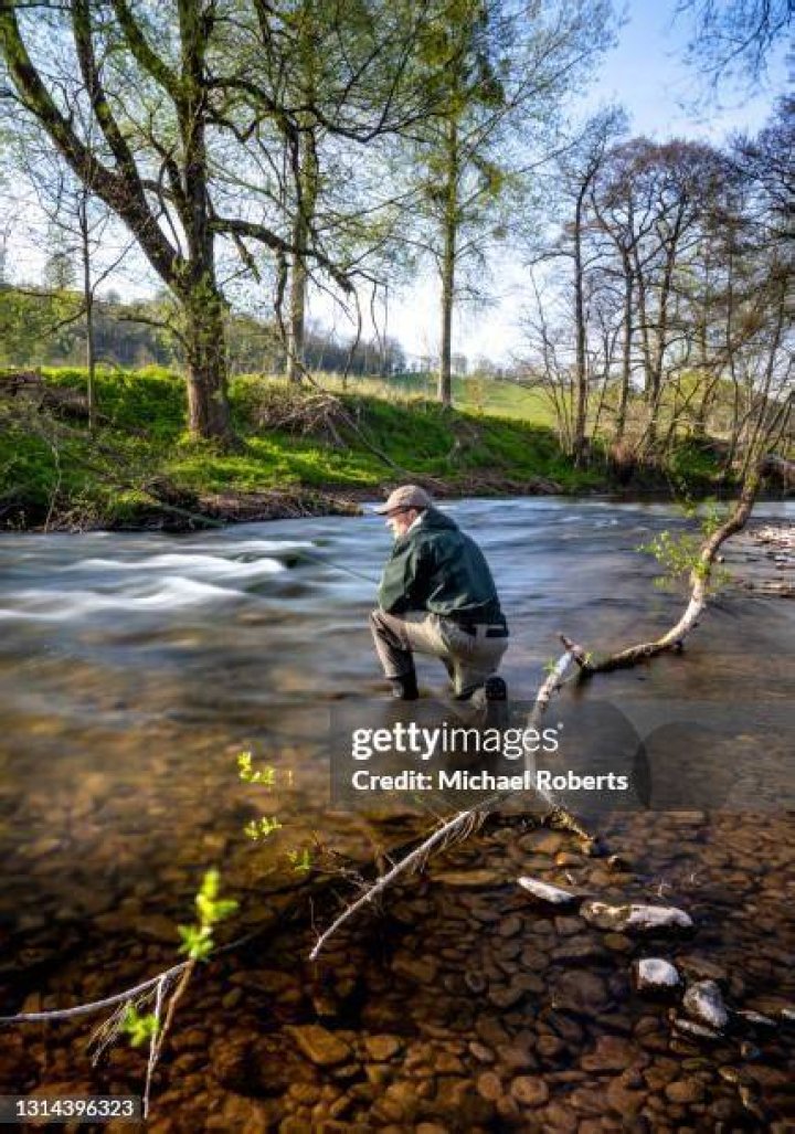 What fish are in the river Monnow?