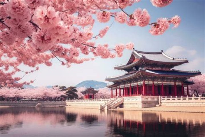 What flowers mean in Korea?