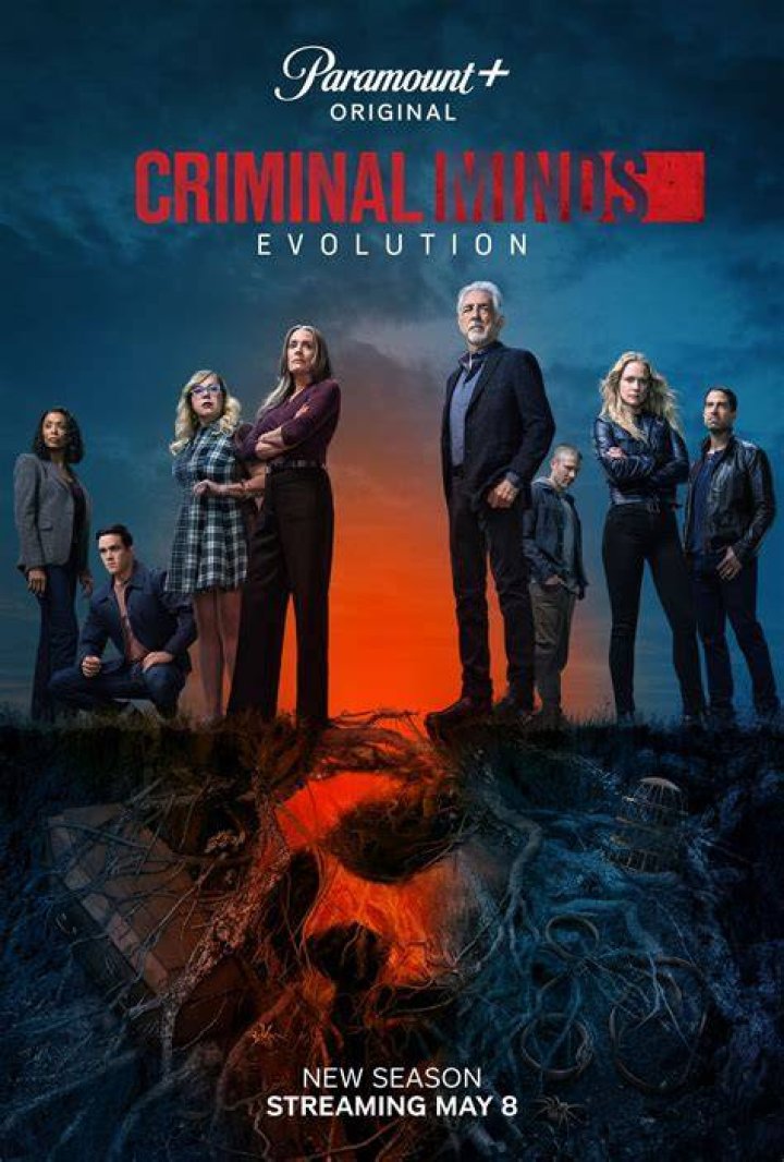 What happened in Season 5 episode 13 of Criminal Minds?
