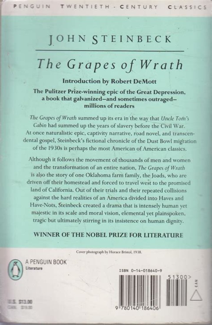 What happens in chapter 9 of The Grapes of Wrath?