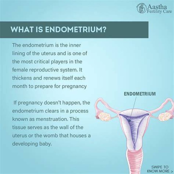 What happens to endometrium during pregnancy?