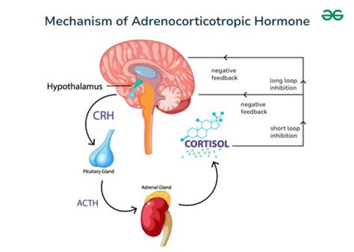 What hormone is lacking in depression?