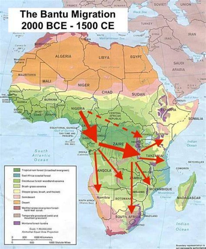 What impact did the Bantu migration have on Africa?