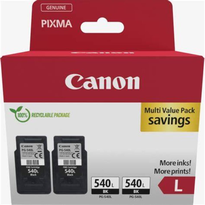 What ink does a Canon MG4250 take?
