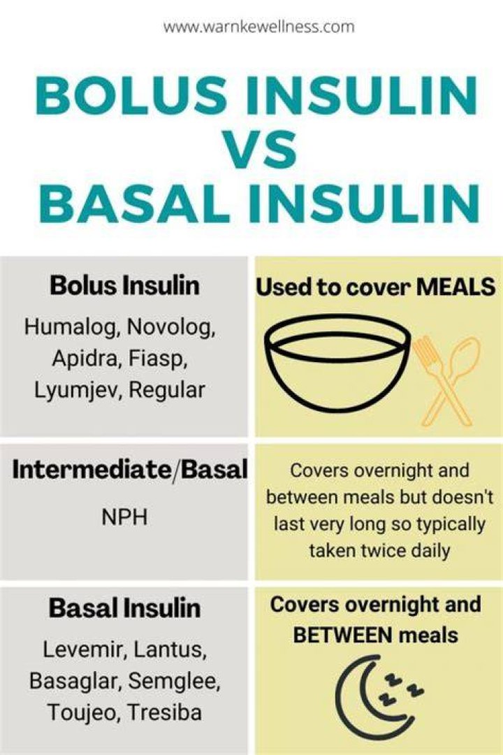 What insulins are basal?