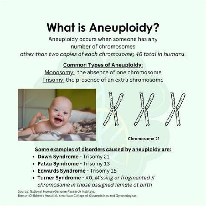 What is a aneuploidy simple definition?