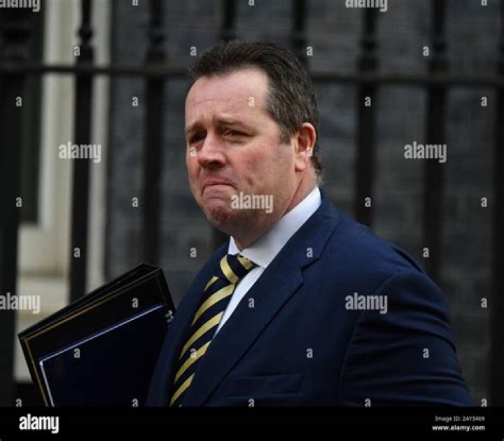 What is a chief whip in parliament?