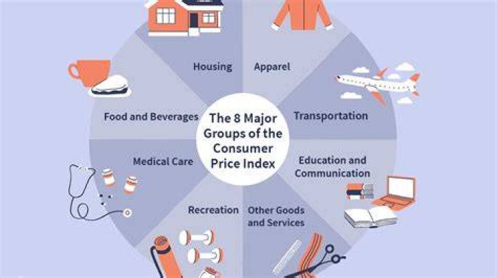 What is a consumer in the economy?